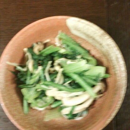 栄養たっの小松菜を、おいしくたくさん頂けました。少しづつ残っていたエノキとシメジのどちらもいれました。
鷹の爪のピリッと感が気に入りました。
また、作ります。